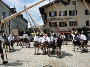 Maibaum 2